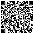 QR code with C-Dat contacts