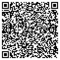 QR code with Ibsi contacts