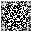 QR code with Professional Grounds contacts