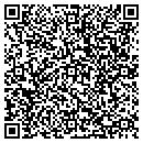 QR code with Pulaski Y M C A contacts