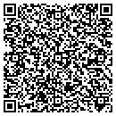 QR code with Professional Handyman contacts