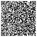 QR code with Project Link contacts