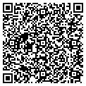 QR code with Techawk contacts