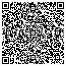 QR code with Precision Mechanical contacts