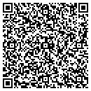 QR code with Projekt One contacts