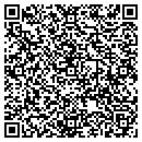 QR code with Practia Consulting contacts