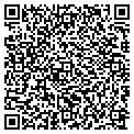 QR code with Modis contacts