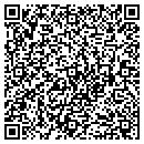 QR code with Pulsar Inc contacts