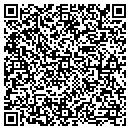 QR code with PSI Non-Profit contacts