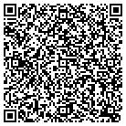 QR code with Blimpie Subs & Salads contacts