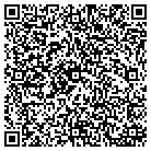 QR code with Blue Ridge Hydro Grass contacts