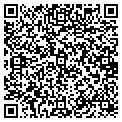 QR code with Shell contacts