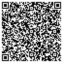 QR code with Pyramid Consulting contacts