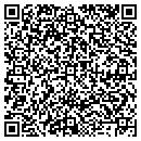 QR code with Pulaski Church of God contacts