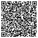 QR code with Bydand contacts