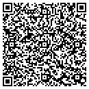 QR code with Catoctin View Stable contacts