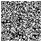 QR code with Pyramid Construction Corp contacts