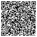 QR code with Amway contacts