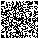 QR code with Pulaski Middle School contacts