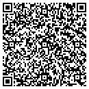 QR code with Public Storage contacts