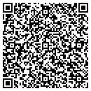 QR code with Prizm Consortium Inc contacts