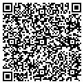 QR code with Daltile contacts