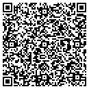 QR code with Pro Tect Inc contacts