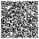 QR code with Chips Stump Grinding contacts