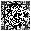 QR code with Team 5 contacts