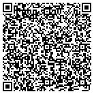 QR code with Professional Carpet Systems contacts
