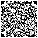 QR code with Princeton Review contacts