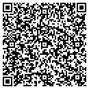 QR code with Pulse Communcations contacts