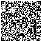 QR code with Blulou Properties Inc contacts
