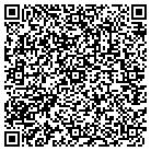 QR code with Teams Electronic Billing contacts