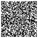 QR code with Custom Mosaics contacts