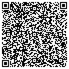QR code with Pulsedge Solutions LLC contacts