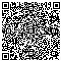 QR code with Vidja-C contacts