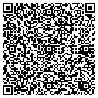 QR code with Chlorine Institute Inc contacts