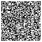 QR code with Playful Delights Inc contacts