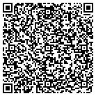 QR code with Professional Lock & Key contacts