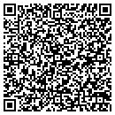 QR code with Carpet Showcase Inc contacts