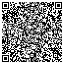QR code with PVS Tech Service contacts