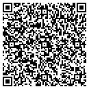 QR code with Primal Matrix contacts