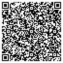 QR code with Pulaski County contacts