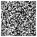 QR code with Carpet Showcase contacts
