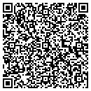 QR code with Pts Intl Corp contacts