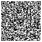 QR code with Public Interest Registry contacts