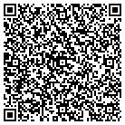 QR code with Public Library Systems contacts
