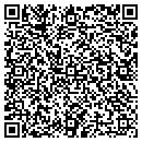 QR code with Practically Painted contacts