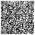 QR code with Brian M Rothstein Drywall contacts